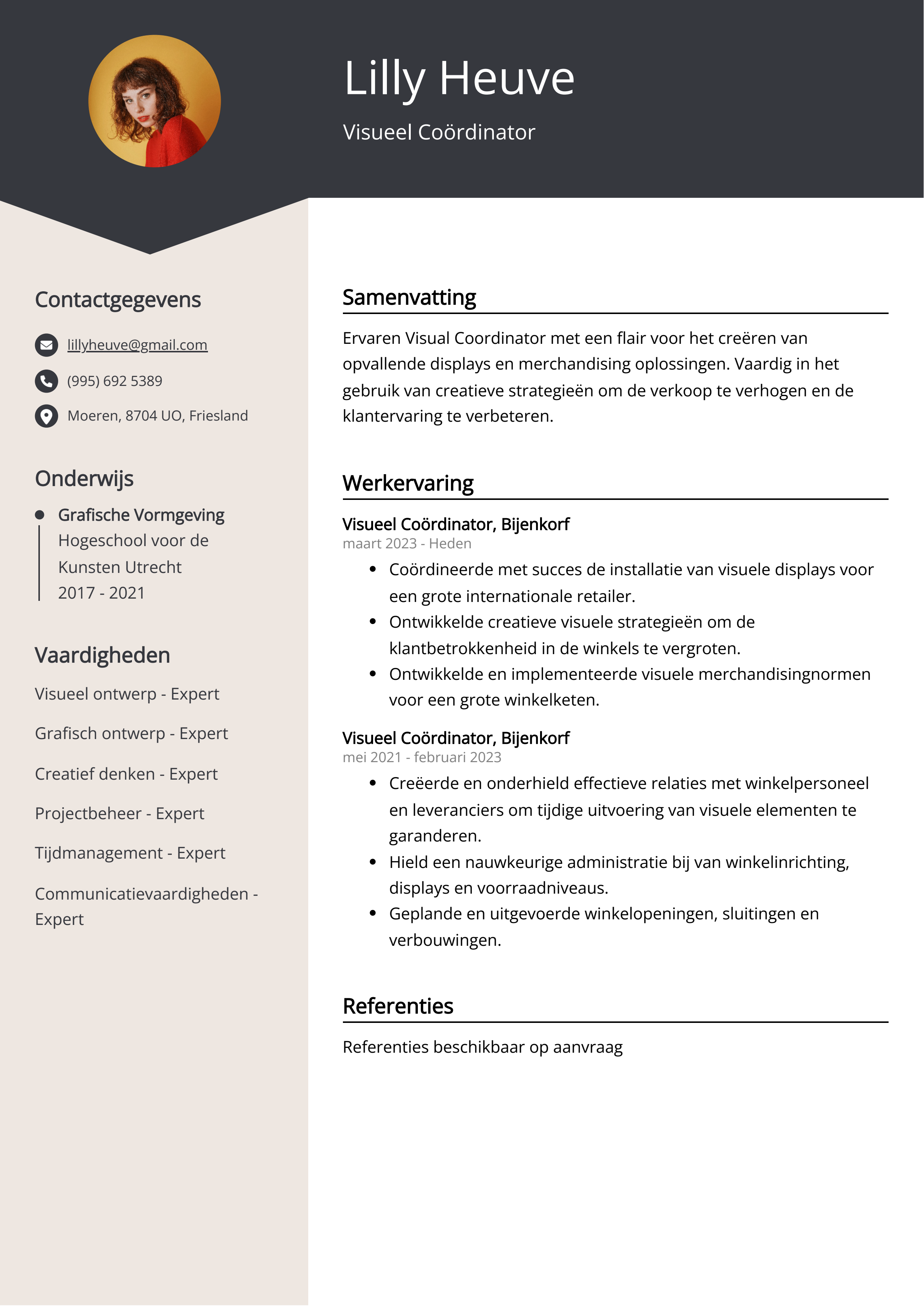 Visueel Coördinator CV Voorbeeld