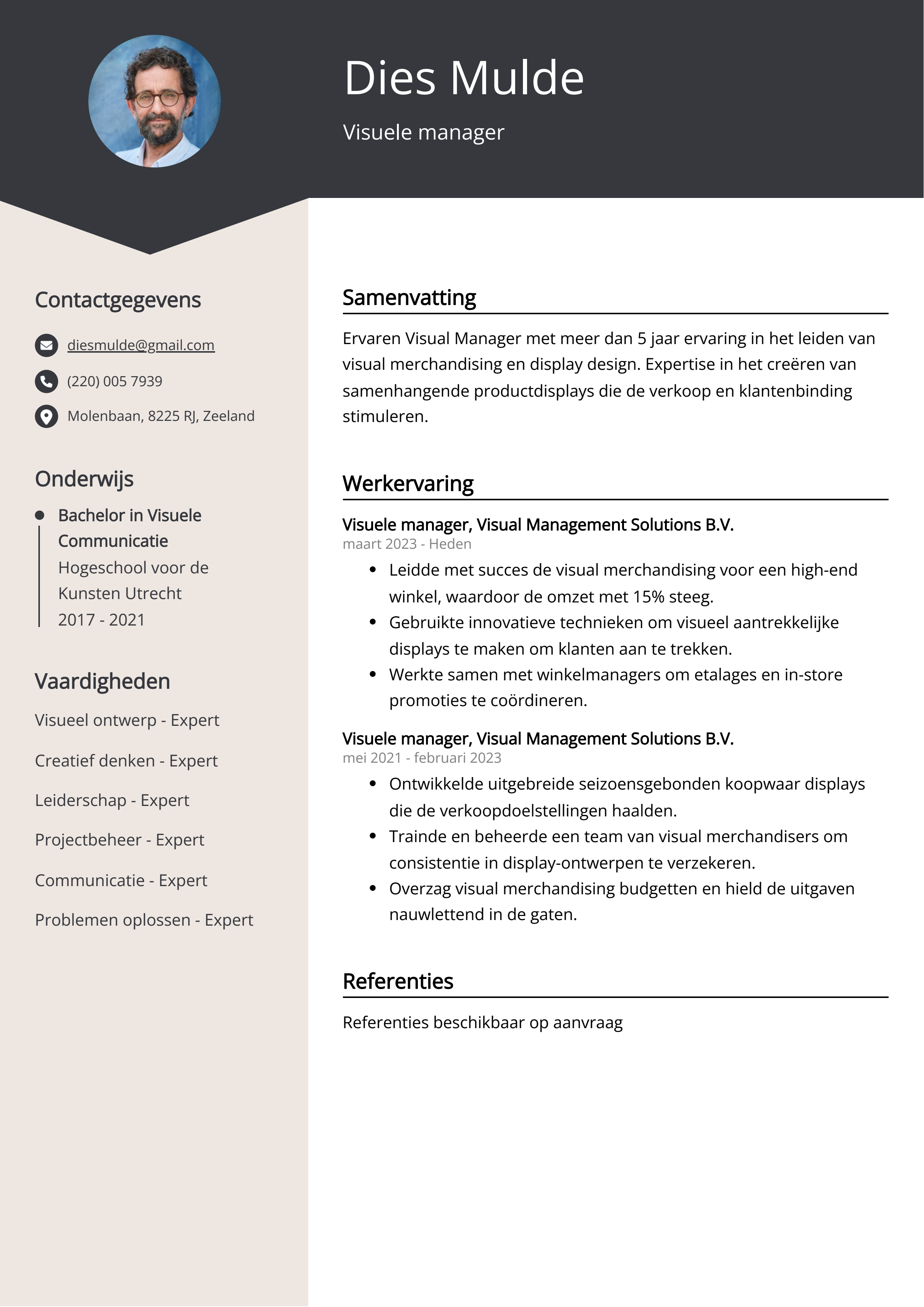 Visuele manager CV Voorbeeld