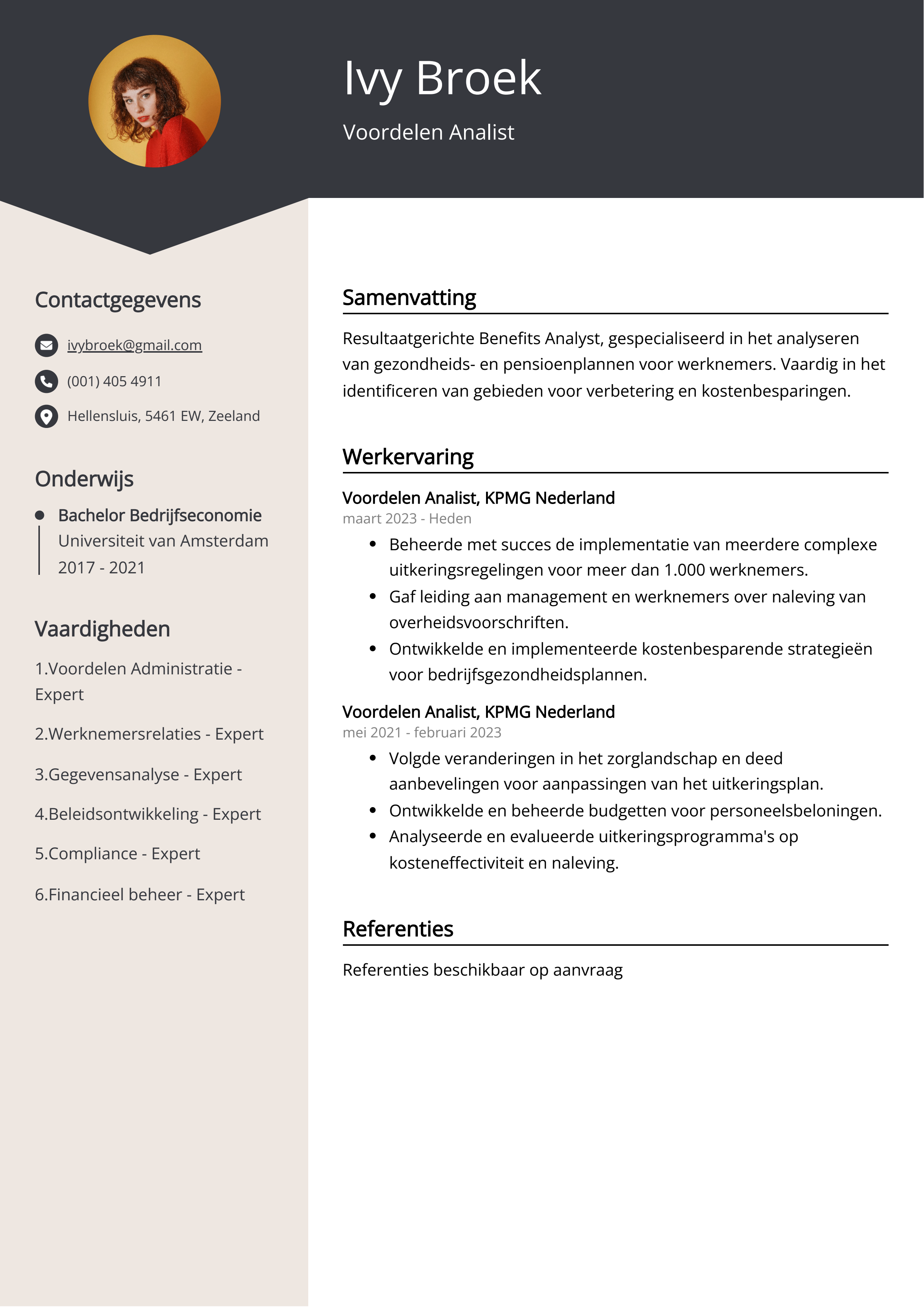 Voordelen Analist CV Voorbeeld