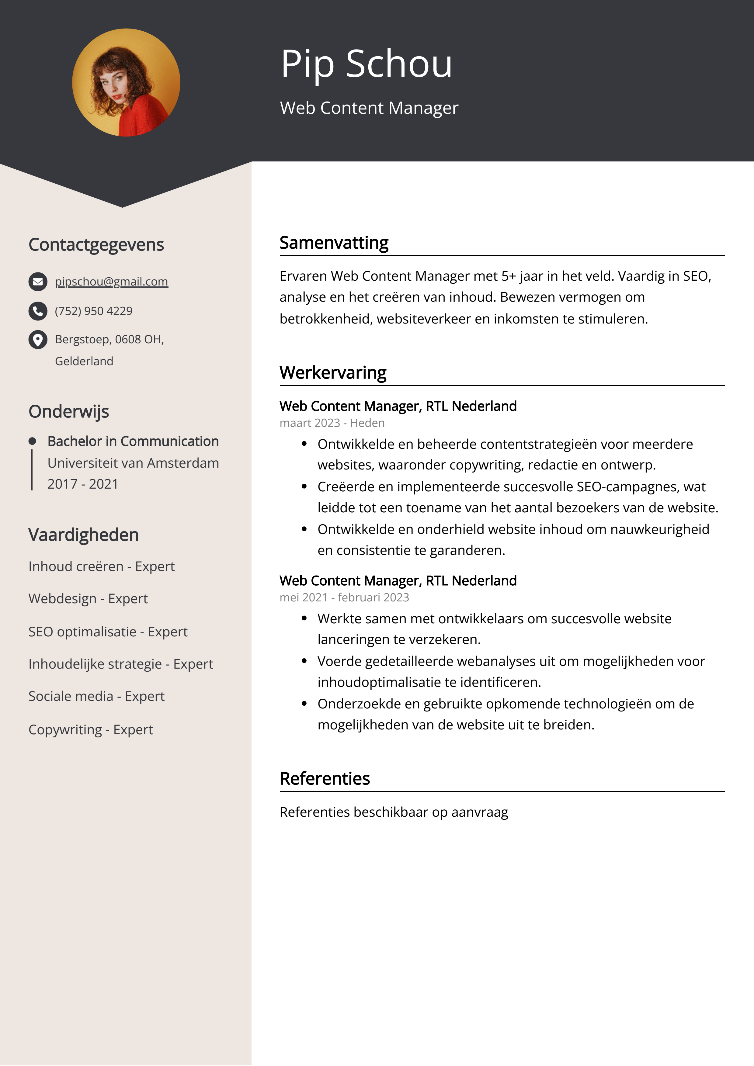 Web Content Manager CV Voorbeeld