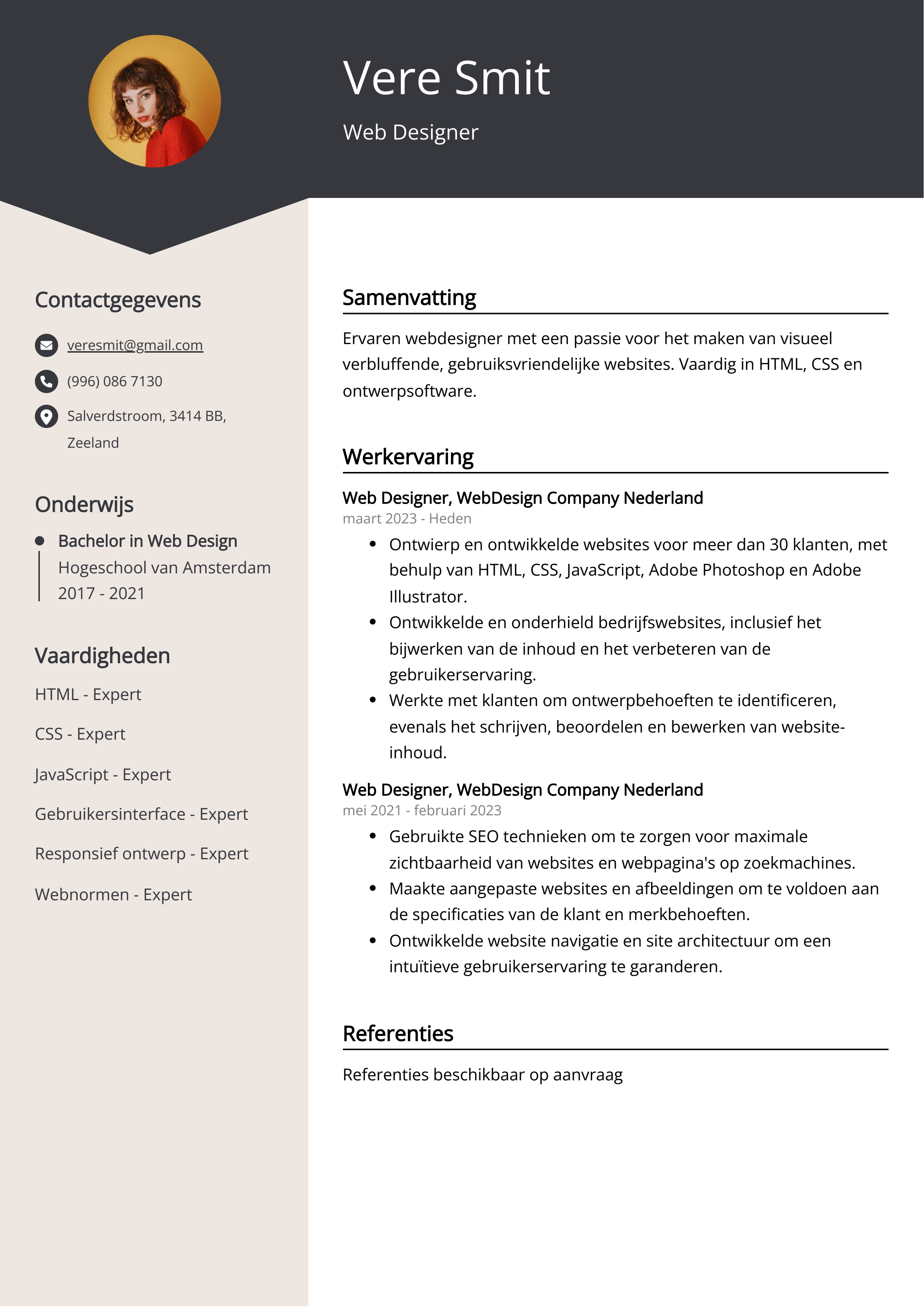 Web Designer CV Voorbeeld