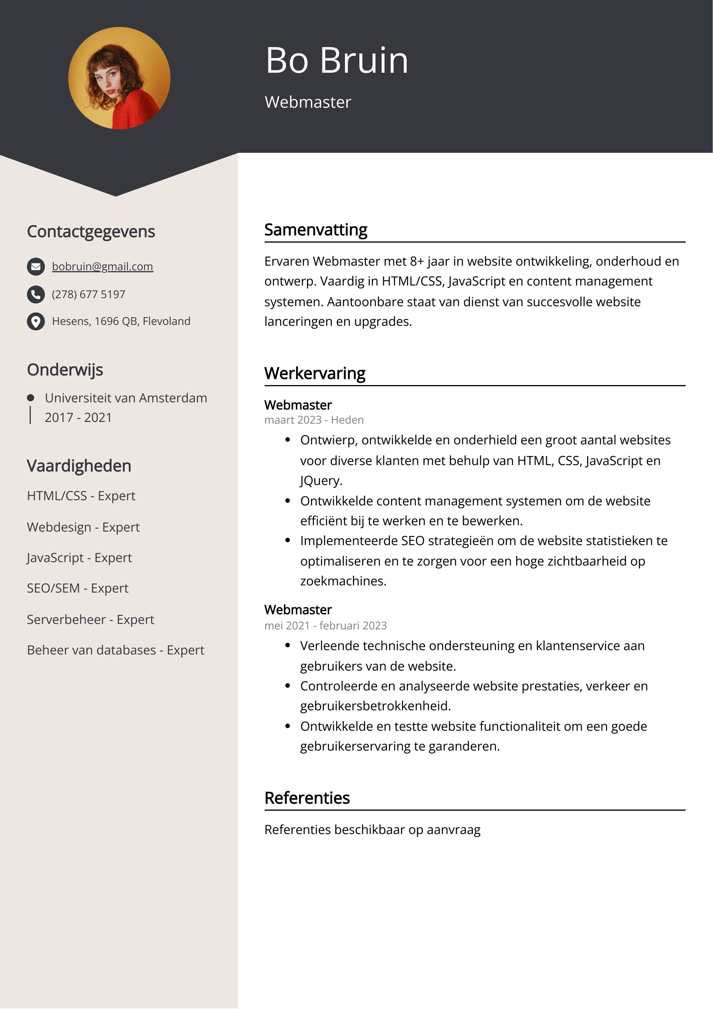 Webmaster CV Voorbeeld