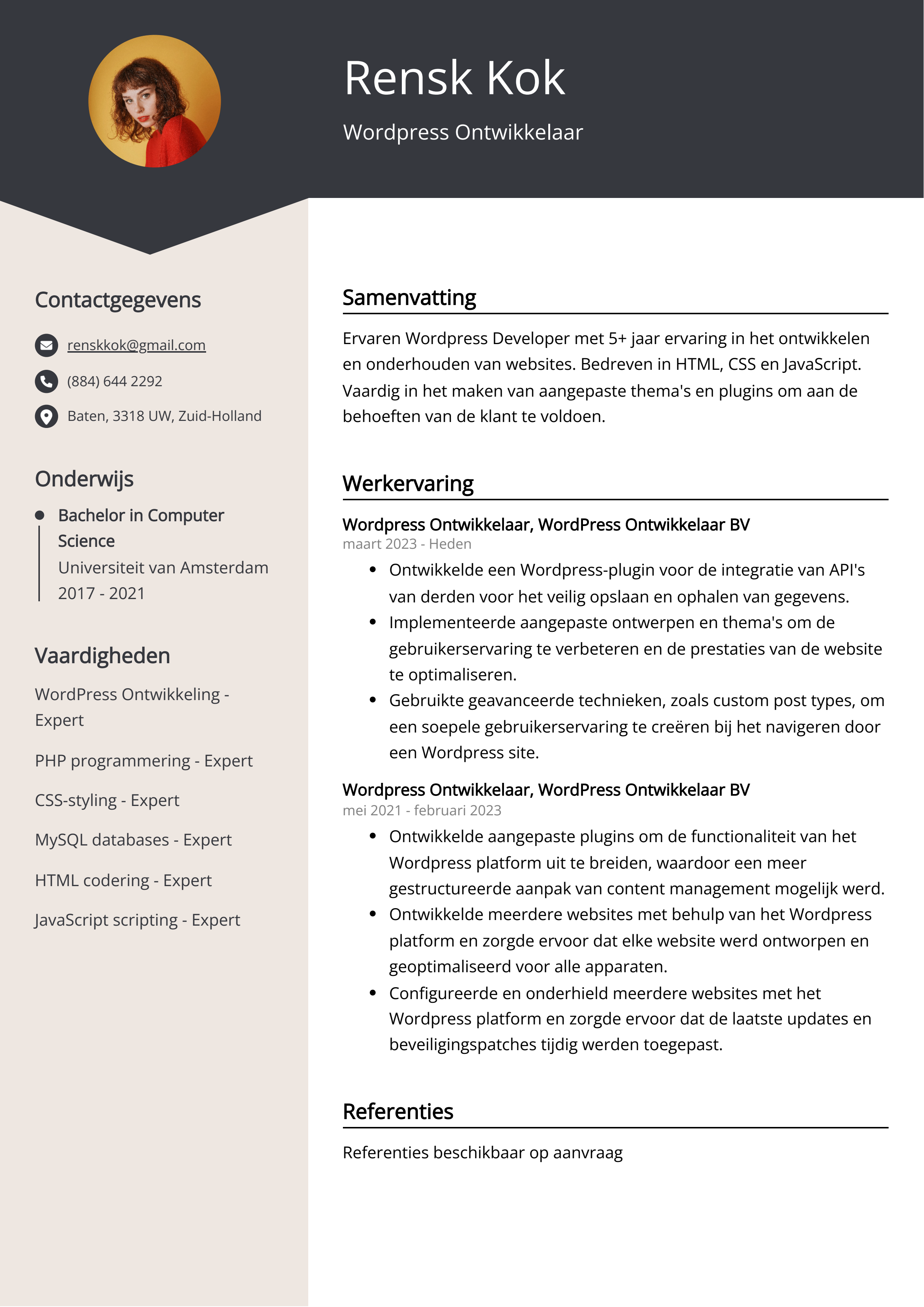 Wordpress Ontwikkelaar CV Voorbeeld