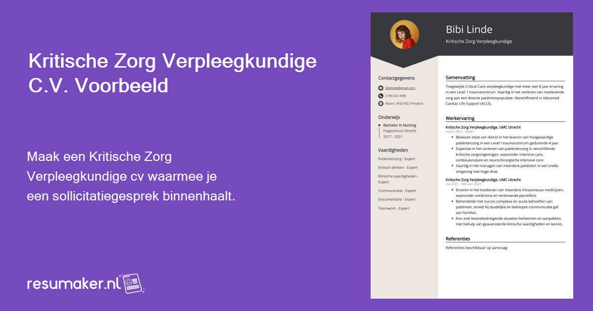 Kritische Zorg Verpleegkundige CV Voorbeeld Voor 2024
